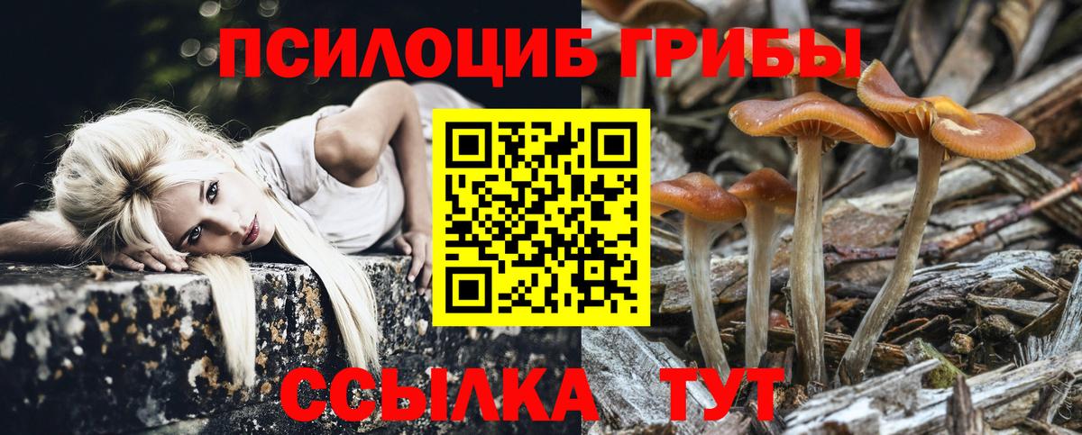 Псилоцибиновые грибы Cubensis  Вход с VPN  Луховицы  Галлюциногенные грибы прущие грибы 